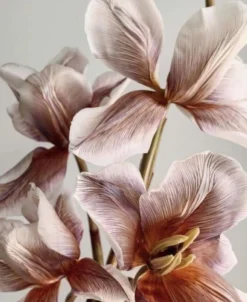 Album na zdjęcia Natural Affair Medium - Semikolon - Blossom