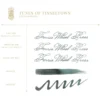 Atrament - Ferris Wheel Press - Tunes of Tinseltown, 38 ml