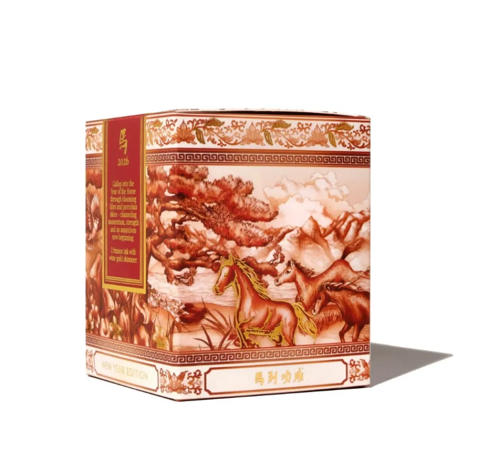 Atrament FerriTales Limited Edition - Ferris Wheel Press - Eightfold Fortune 20 ml