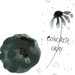 Atrament Ink-Cafe Art Noveau - Kuretake - Concrete Gray, 21 ml