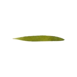 Atrament permanentny - Graf Von Faber-Castell - Olive Green, 75 ml
