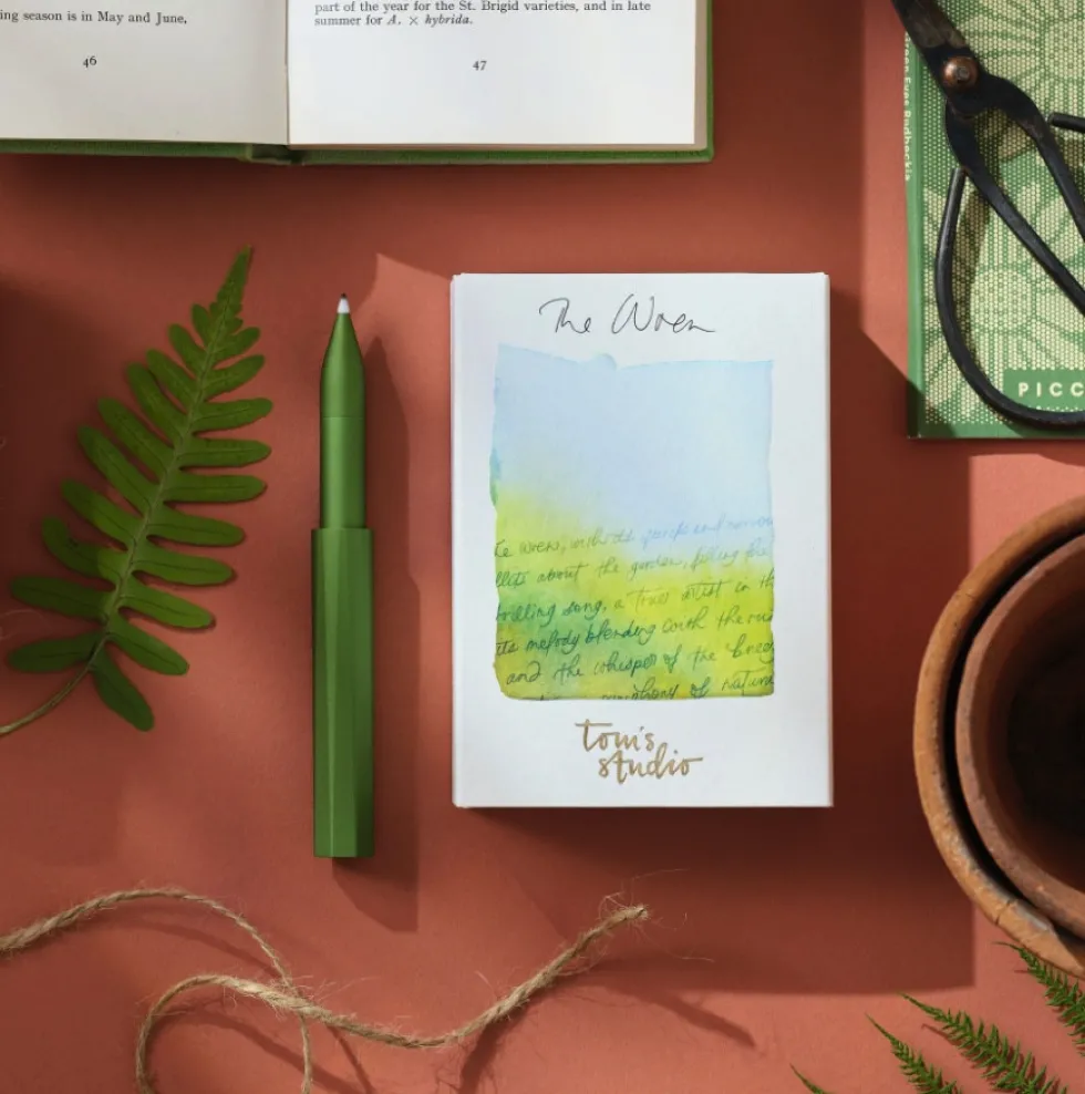 Cienkopis The Wren Special Edition - Tom's Studio - Botanica