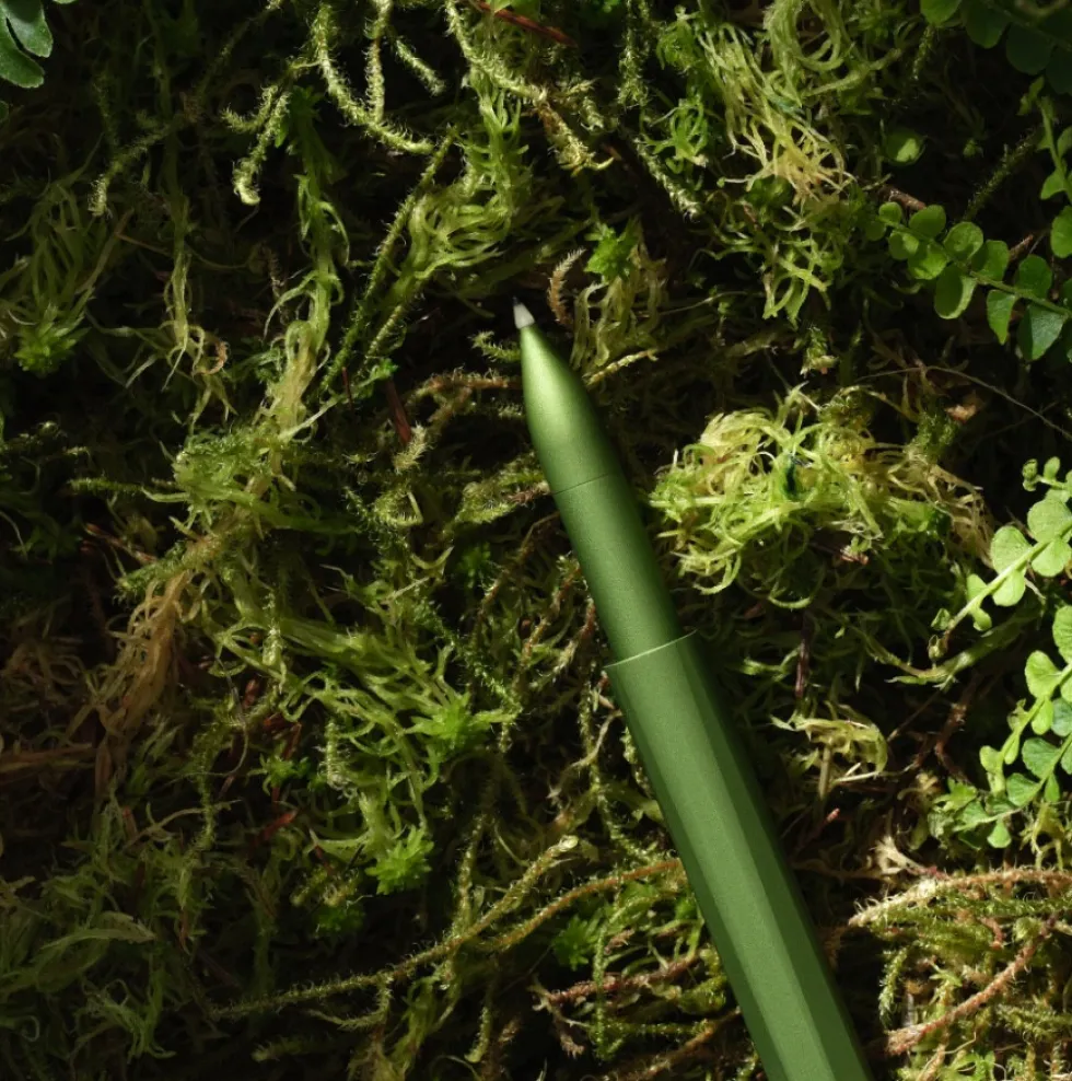 Cienkopis The Wren Special Edition - Tom's Studio - Botanica