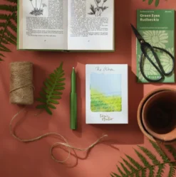 Cienkopis The Wren Special Edition - Tom's Studio - Botanica