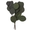Eukaliptus Populus - DpCraft - zielony, 20 cm, 4 szt.