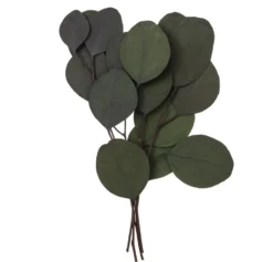 Eukaliptus Populus - DpCraft - zielony, 20 cm, 4 szt.