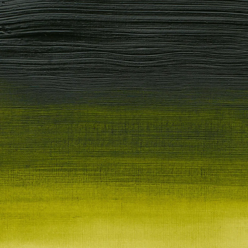 Farba akrylowa Professional Acrylic - Winsor & Newton - Permanent Sap Green, 60 ml