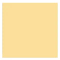 Farba akrylowa - Rembrandt - Naples Yellow Deep, 40 ml