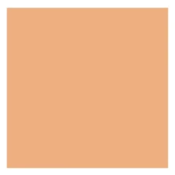 Farba akrylowa - Rembrandt - Naples Yellow Red, 40 ml
