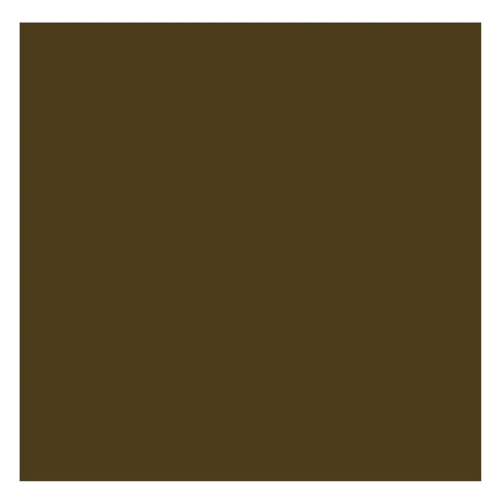 Farba akrylowa - Rembrandt - Raw Umber, 40 ml