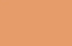 Farba akrylowa w spray'u - Liquitex - Raw Sienna 5, 400 ml