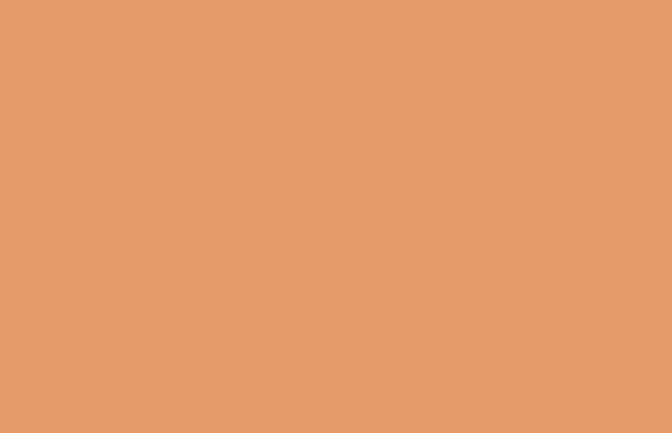 Farba akrylowa w spray'u - Liquitex - Raw Sienna 5, 400 ml