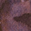 Farba akwarelowa Artists’ Watercolor - Holbein - Eurasian Jay Rose Grey, 5 ml