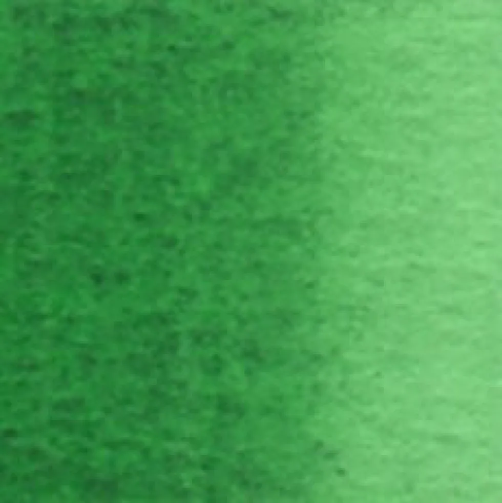 Farba akwarelowa Artists’ Watercolor - Holbein - Hooker’s Green, 5 ml