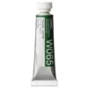 Farba akwarelowa Artists’ Watercolor - Holbein - Terre Verte, 5 ml