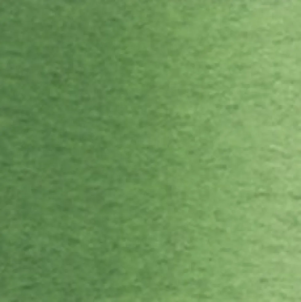 Farba akwarelowa Artists’ Watercolor - Holbein - Terre Verte, 5 ml