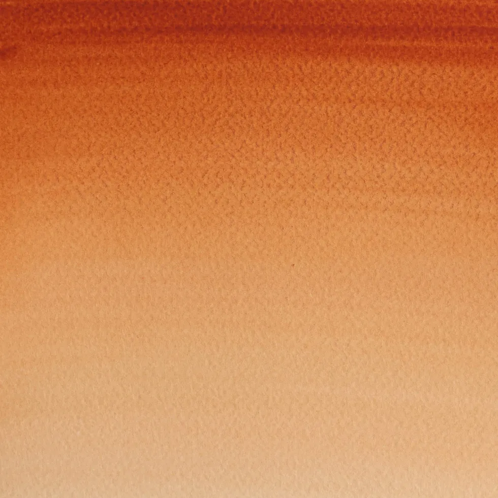 Farba akwarelowa Cotman - Winsor & Newton - Burnt Sienna, 8 ml