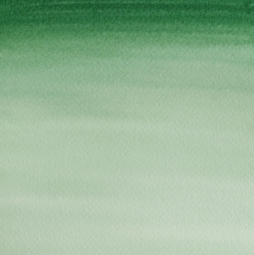 Farba akwarelowa Cotman - Winsor & Newton - Hooker's Green Dark, półkostka