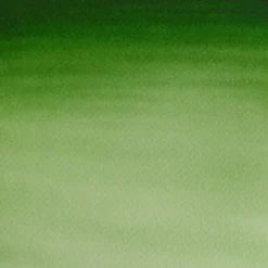 Farba akwarelowa Cotman - Winsor & Newton - Hooker's Green Light, półkostka
