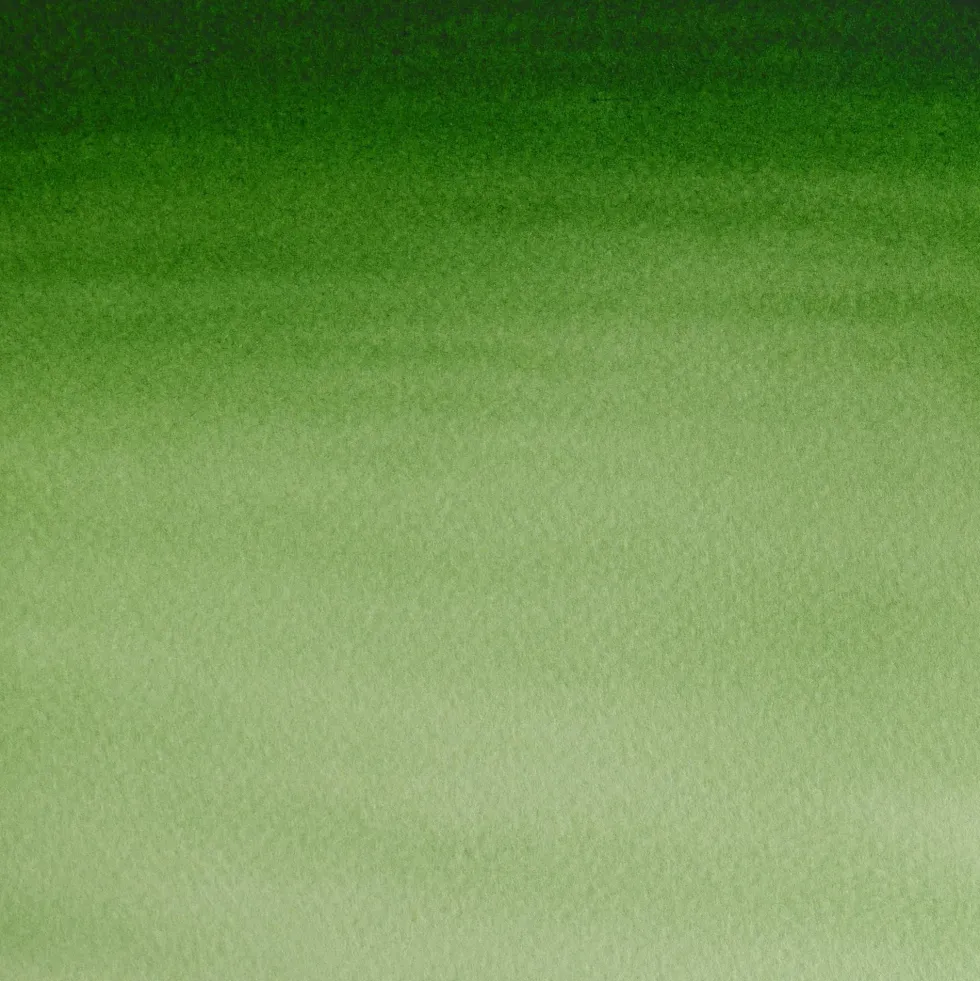 Farba akwarelowa Cotman - Winsor & Newton - Hooker's Green Light, 8 ml