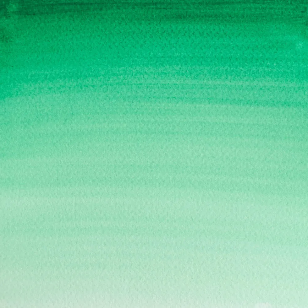 Farba akwarelowa Cotman - Winsor & Newton - Intense Green, półkostka