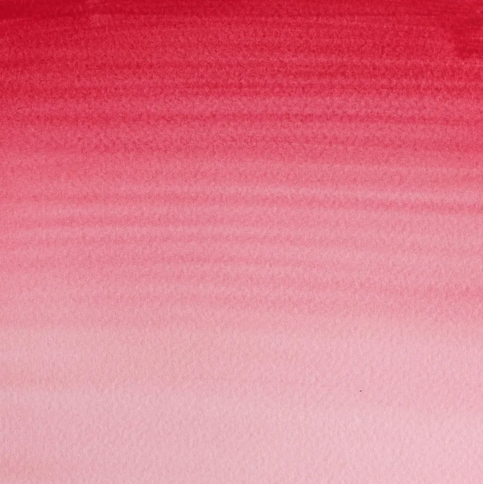 Farba akwarelowa Cotman - Winsor & Newton - Rose Madder, półkostka
