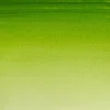 Farba akwarelowa Cotman - Winsor & Newton - Sap Green, 8 ml