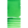 Farba akwarelowa Extra Fine - Daniel Smith - Permanent Green Light, 15 ml