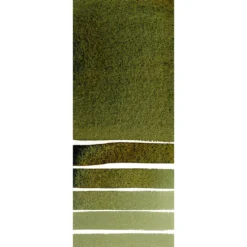 Farba akwarelowa Extra Fine w półkostce - Daniel Smith - Undersea Green