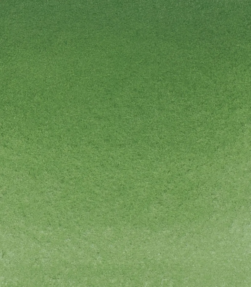 Farba akwarelowa Horadam Aquarell - Schmincke - 512, Chromium Oxide Green