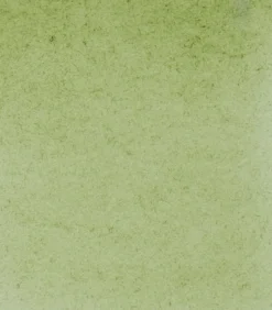 Farba akwarelowa Horadam Aquarell - Schmincke - 516, Green Earth