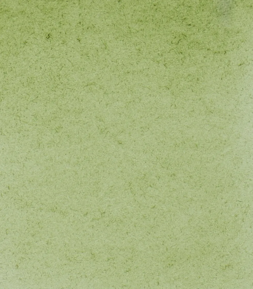 Farba akwarelowa Horadam Aquarell - Schmincke - 516, Green Earth, 5 ml