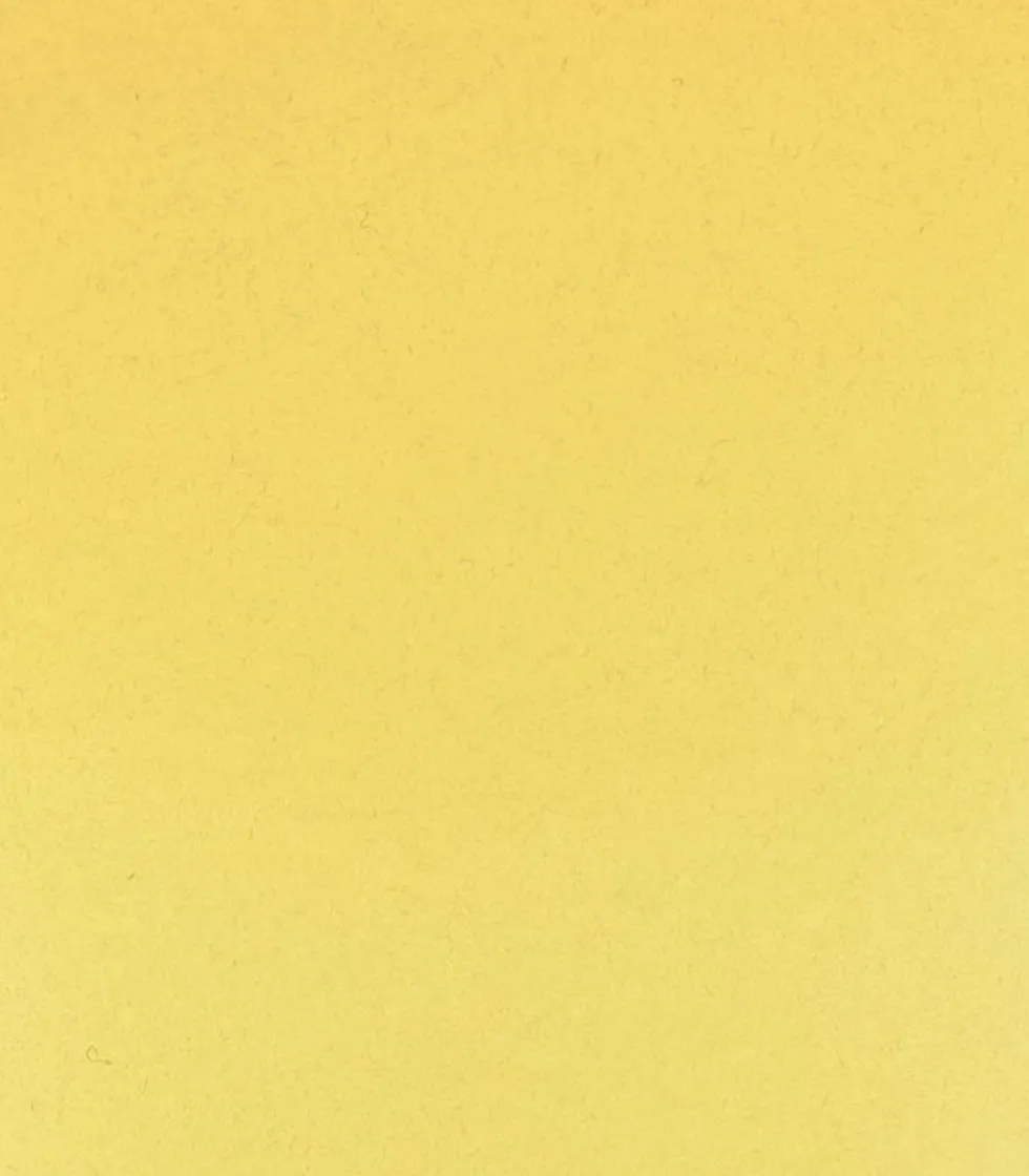 Farba akwarelowa Horadam Aquarell - Schmincke - 205, Rutile Yellow, 15 ml