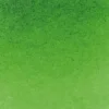 Farba akwarelowa Horadam Aquarell - Schmincke - 530, Sap Green