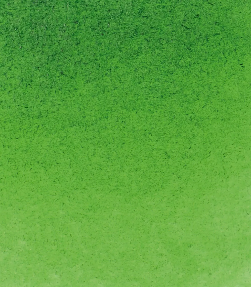 Farba akwarelowa Horadam Aquarell - Schmincke - 530, Sap Green, 15 ml