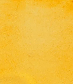 Farba akwarelowa Horadam Aquarell - Schmincke - 657, Transparent Ochre, 5 ml