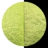 Farba akwarelowa, perłowa - Coliro Pearl Colors - Lime