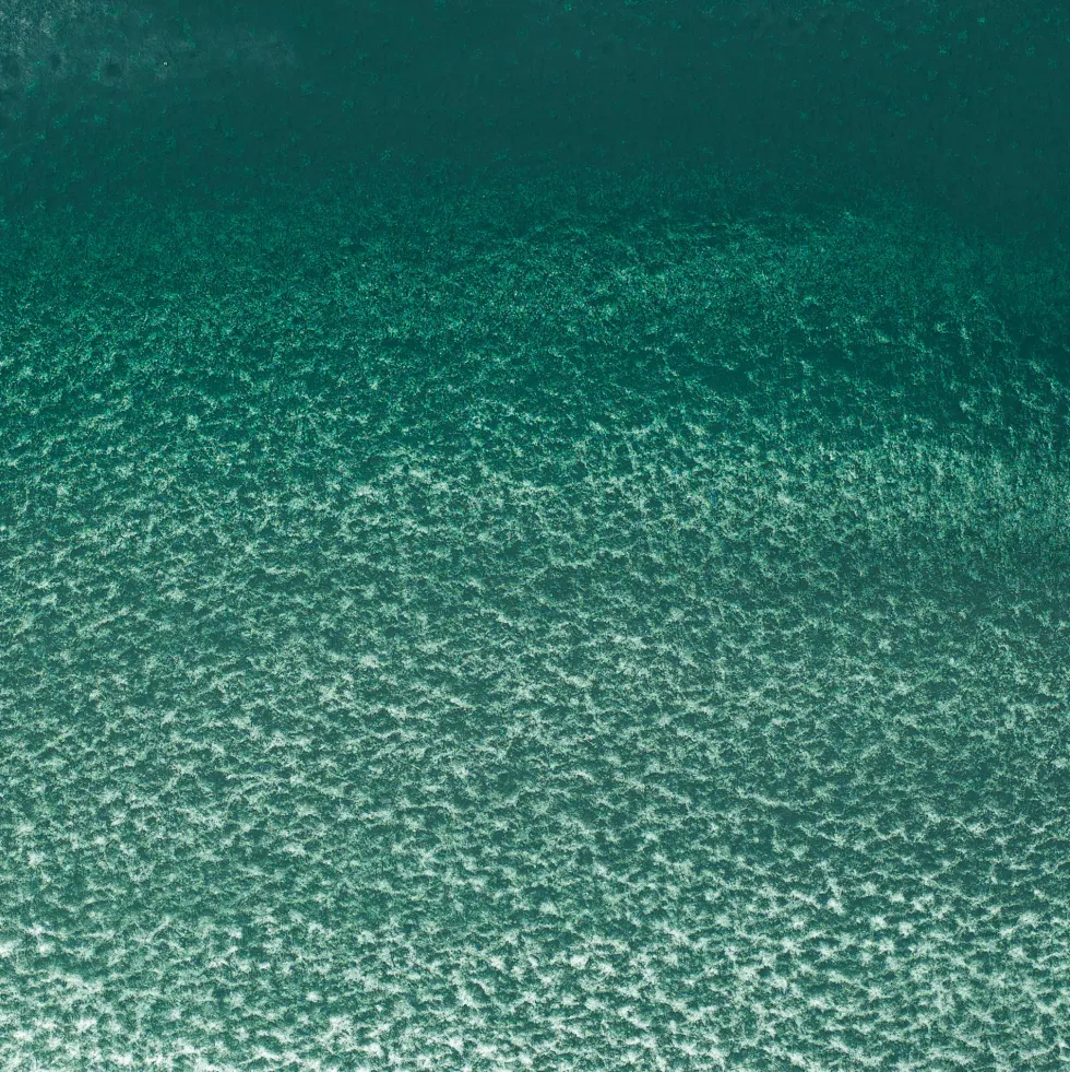Farba akwarelowa Professional Watercolour - Winsor & Newton - Cobalt Green Deep, 5 ml