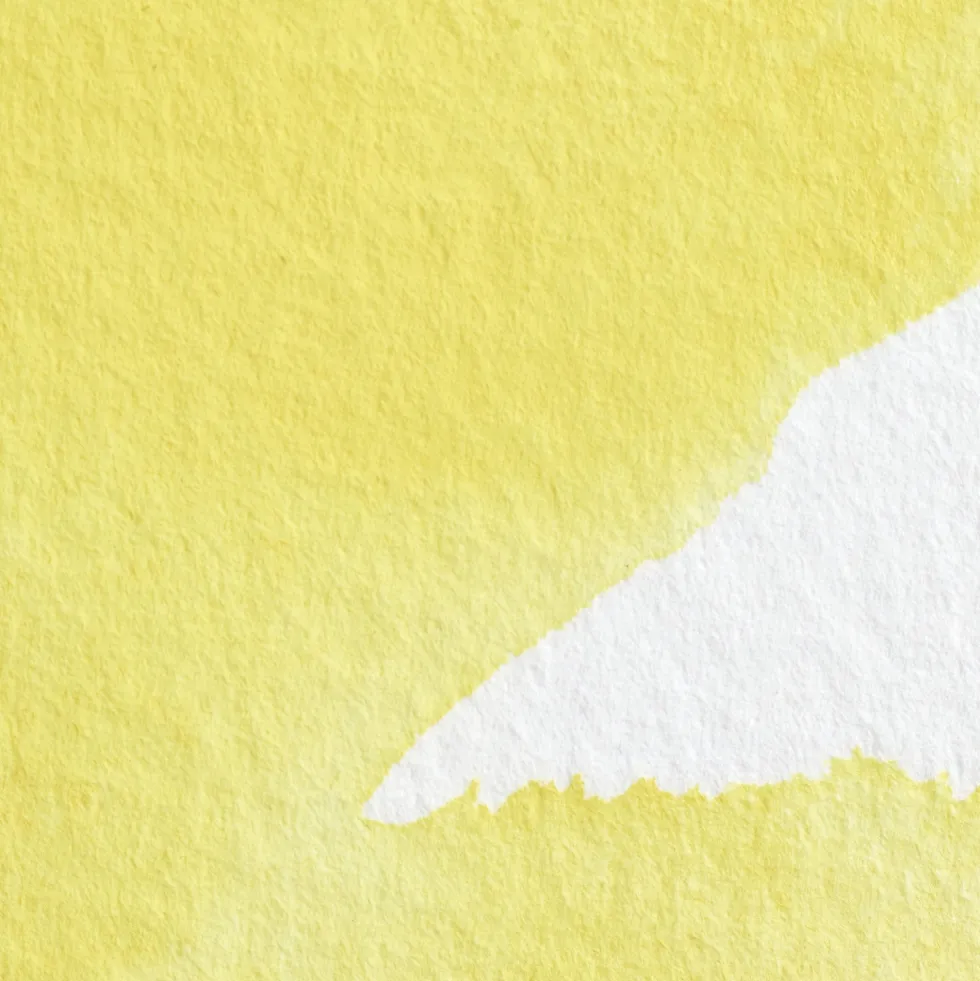 Farba akwarelowa Professional w półkostce - Winsor & Newton - Bismuth Yellow