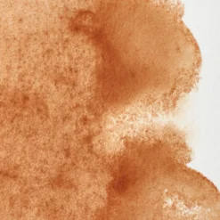 Farba akwarelowa Professional w półkostce - Winsor & Newton - Brown Ochre