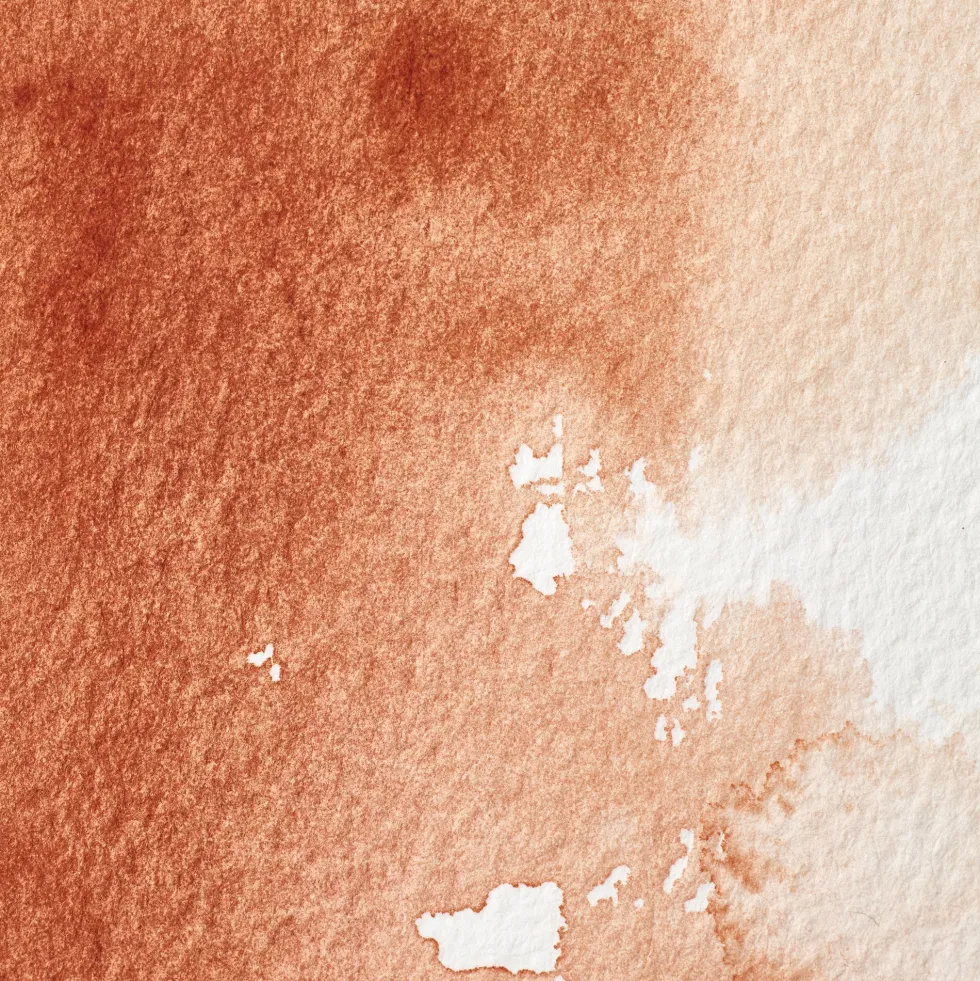 Farba akwarelowa Professional w półkostce - Winsor & Newton - Burnt Sienna