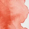 Farba akwarelowa Professional w półkostce - Winsor & Newton - Cadmium Free Scarlet