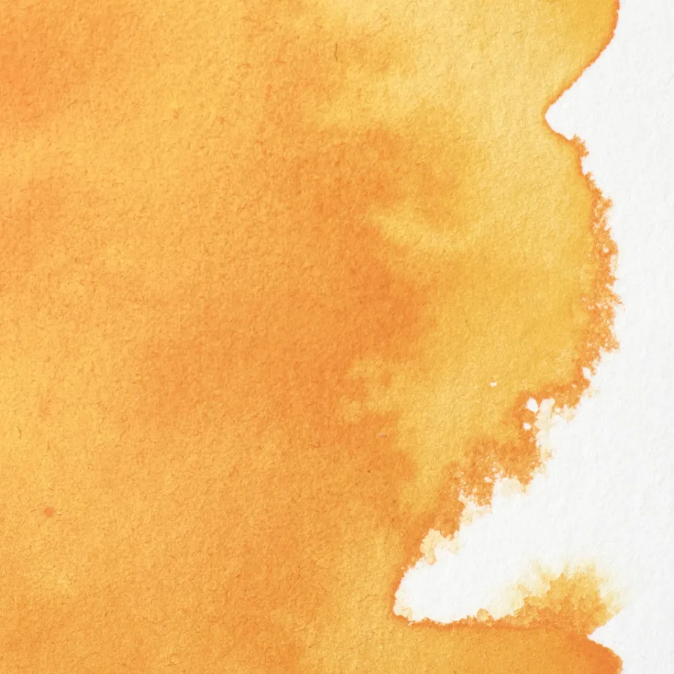 Farba akwarelowa Professional w półkostce - Winsor & Newton - Cadmium Free Yellow Deep