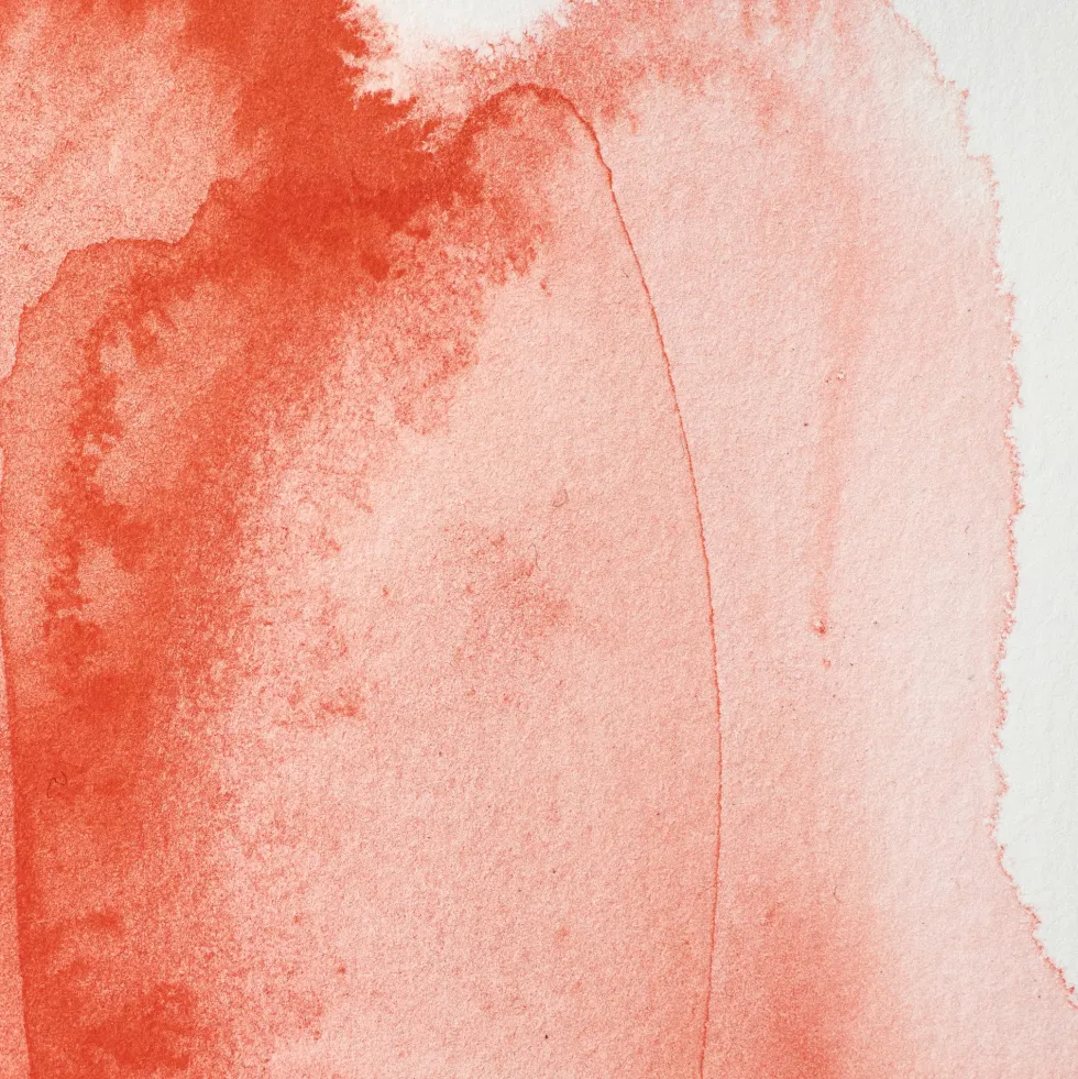 Farba akwarelowa Professional w półkostce - Winsor & Newton - Cadmium Scarlet
