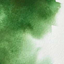 Farba akwarelowa Professional w półkostce - Winsor & Newton - Hooker’s Green