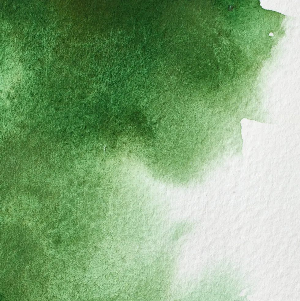 Farba akwarelowa Professional w półkostce - Winsor & Newton - Hooker’s Green