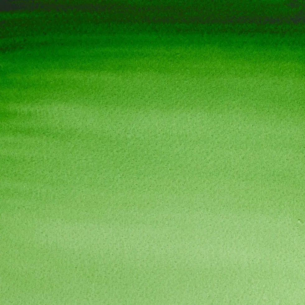 Farba akwarelowa Professional w półkostce - Winsor & Newton - Hooker’s Green