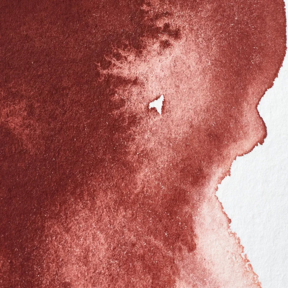 Farba akwarelowa Professional w półkostce - Winsor & Newton - Indian Red