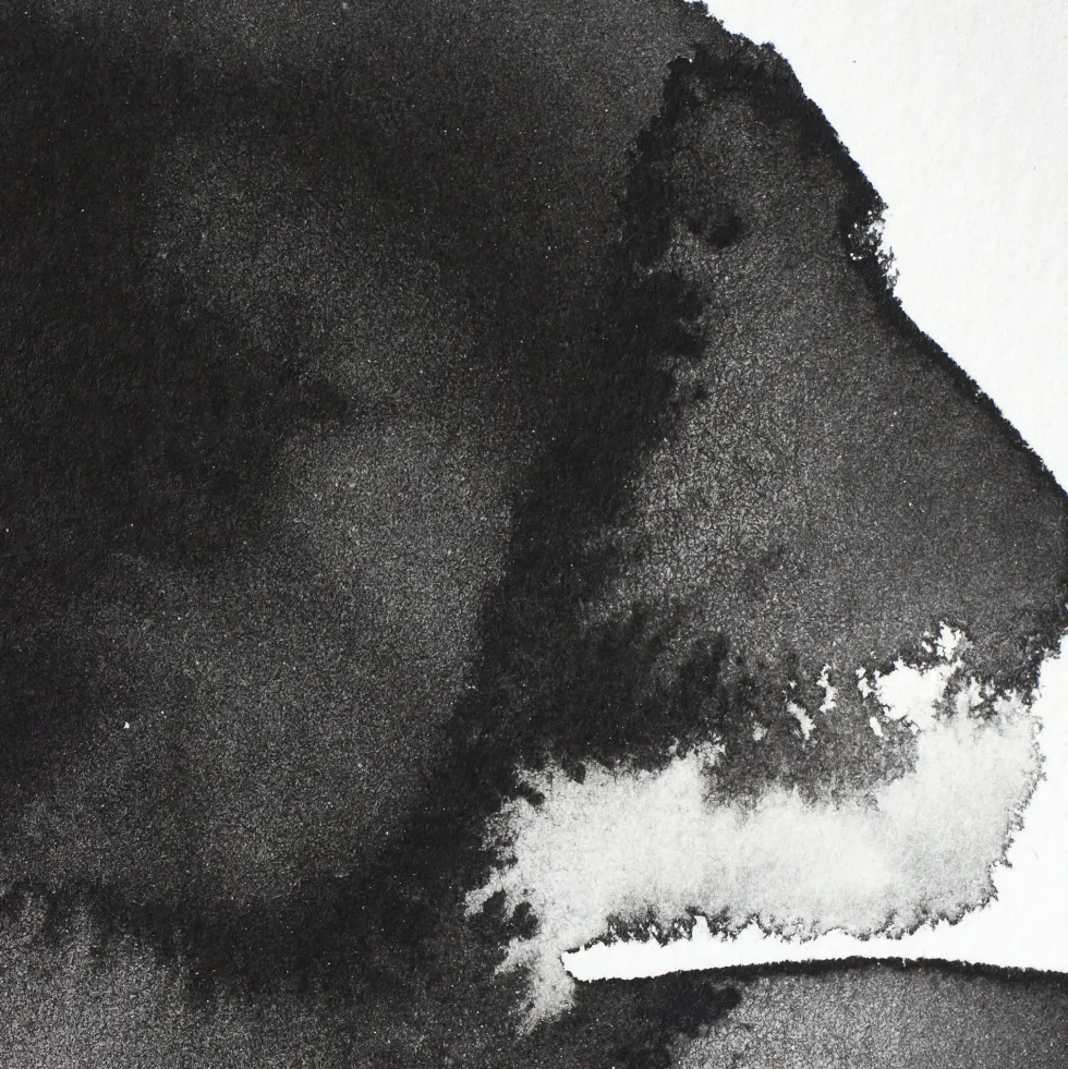 Farba akwarelowa Professional w półkostce - Winsor & Newton - Lamp Black