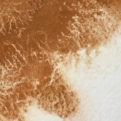 Farba akwarelowa Professional w półkostce - Winsor & Newton - Magnesium Brown